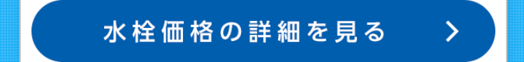 水洗価格の詳細を見る